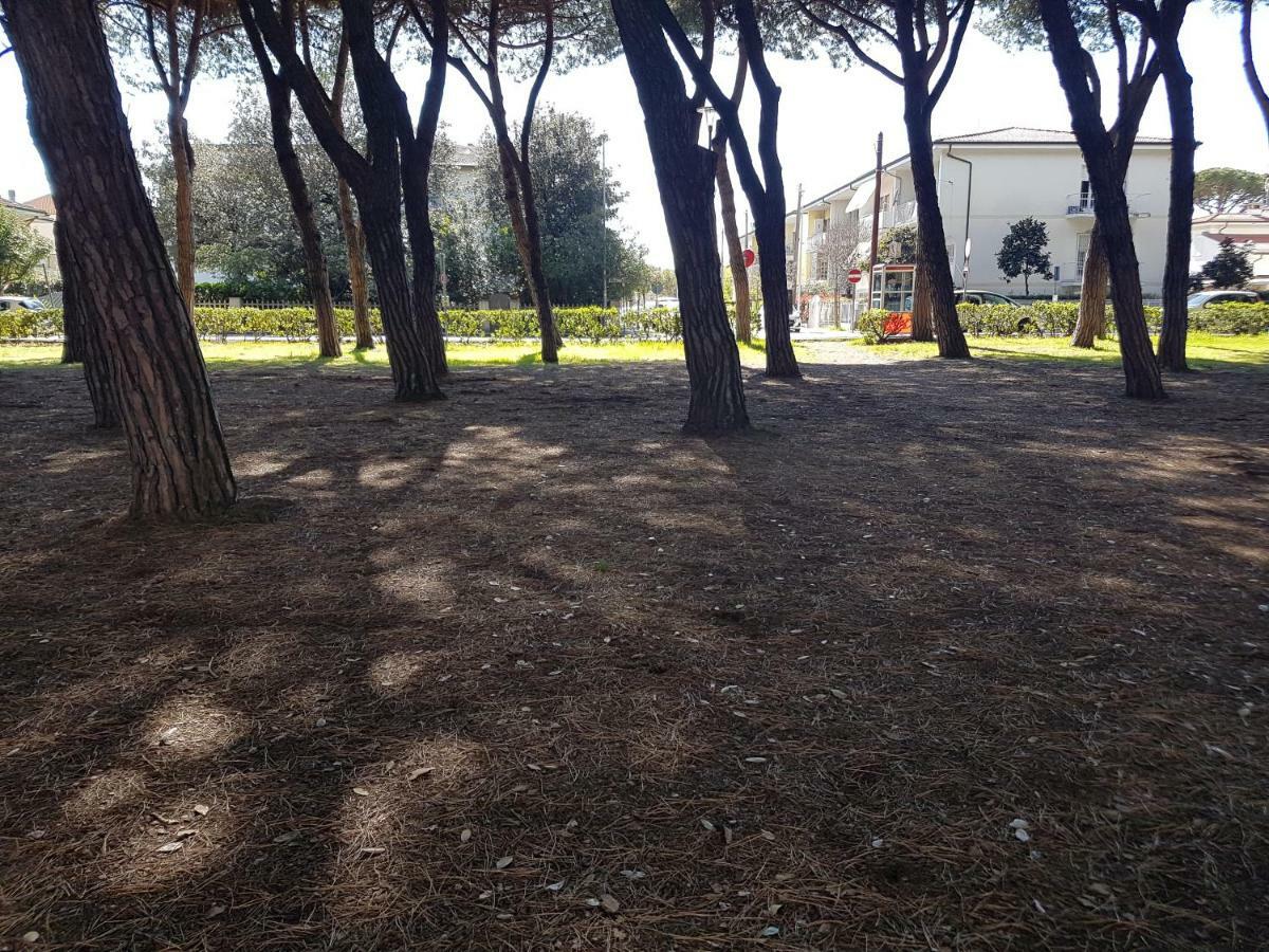 Il Don Minzoni 98 "Casa Vacanze" Λίντο ντι Καμαϊόρε Εξωτερικό φωτογραφία